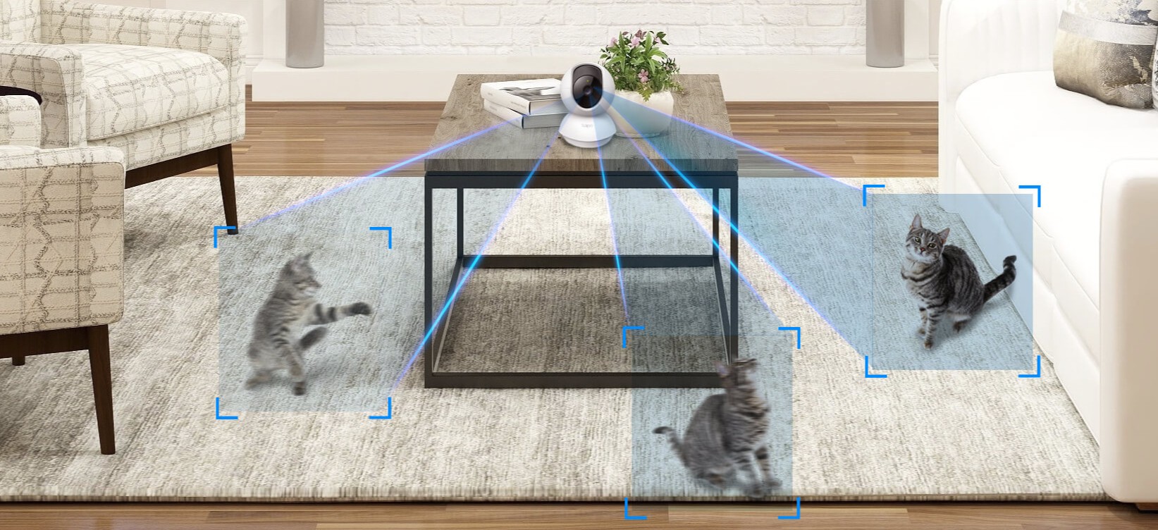 Image of the product highlighting some features.